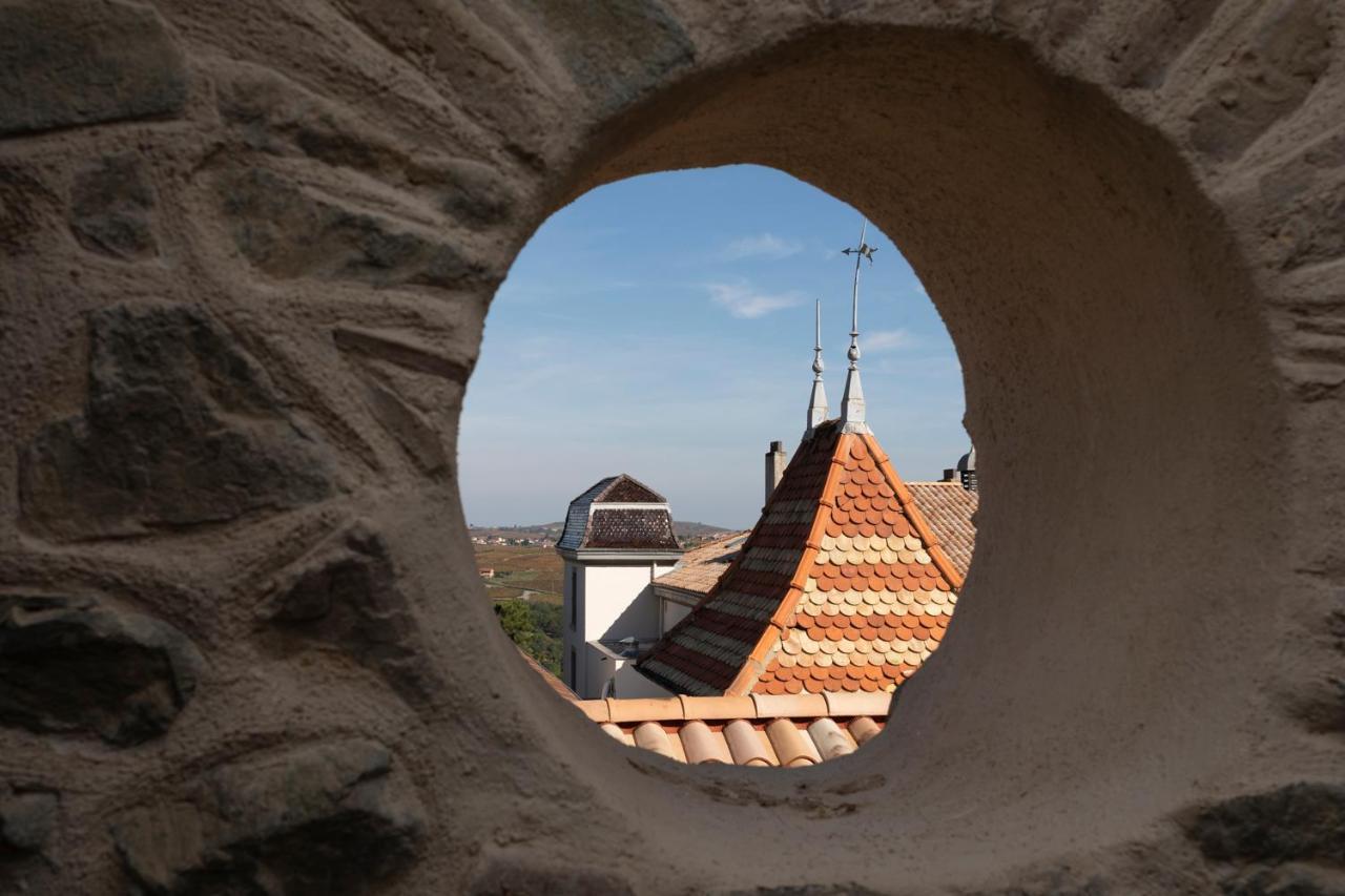 Chateau Du Souzy Quincié-en-Beaujolais Buitenkant foto